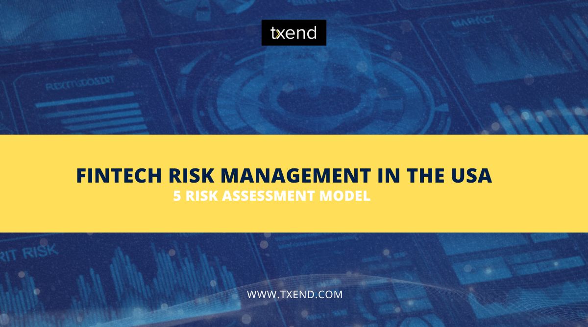 FinTech Risk Management In The USA